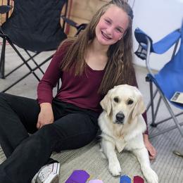 Goldendoodle and Golden Retriever Puppies from Goldens and Doodles of MN