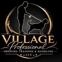 Rottweiler puppies from The Village Rottweilers