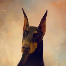 Fiesta - Doberman Pinscher
