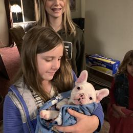 Boston Terrier, Companion Cross, and French Bulldog Puppies from High Plains French Bulldogs,Boston Terriers and Frenchtons.