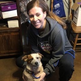 Jack Daniels (L61-08) - Red speckled male Australian Cattle Dog puppy in Sheridan, Oregon from 6pk Cattledogs