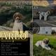 Arlo