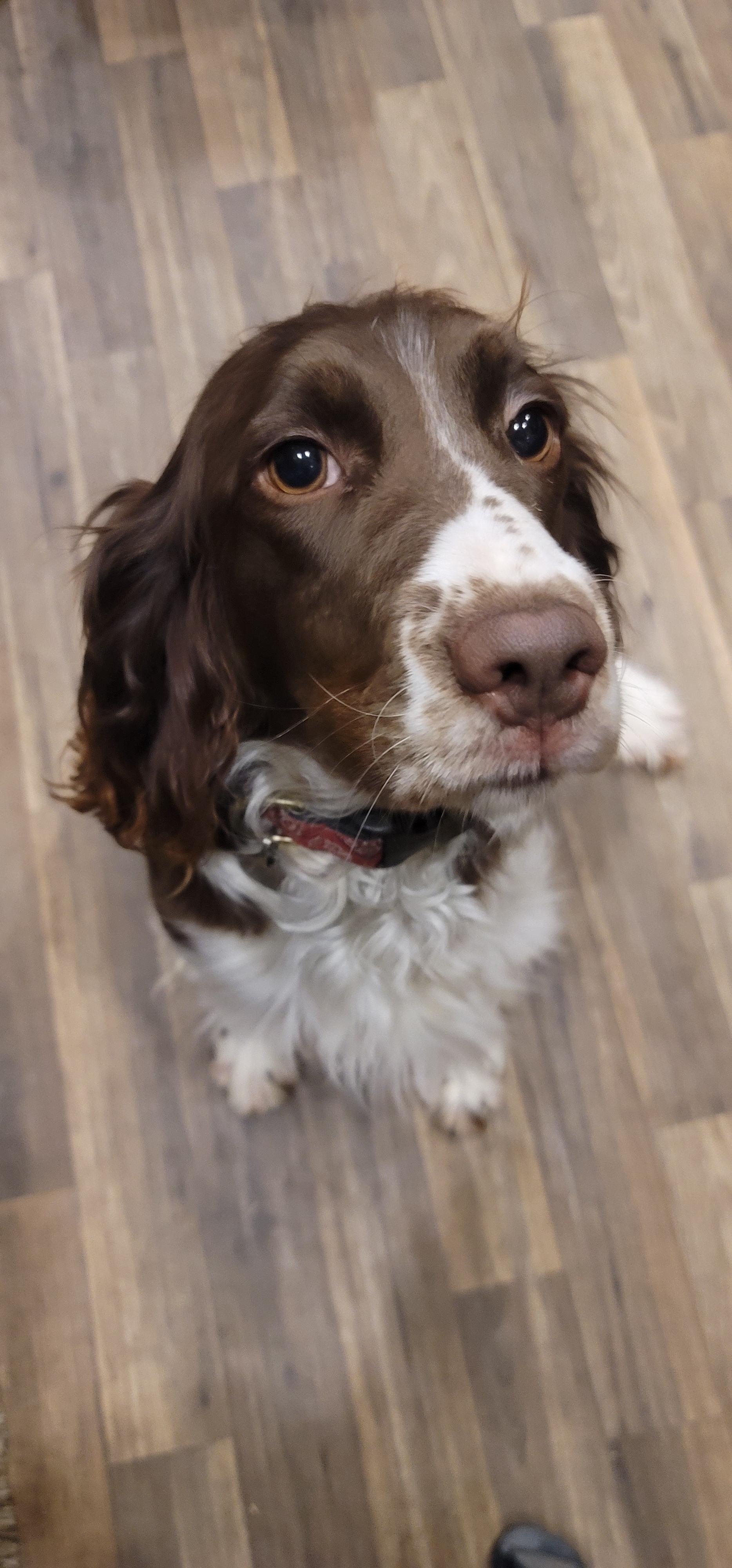 Ruby