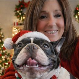 French Bulldogs from S-D frenchies