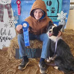 QUINN - Border Collie