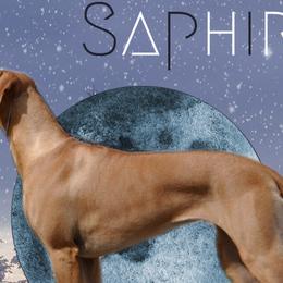 Rhodesian Ridgebacks from Of Course Rhodesian Ridgebacks