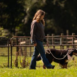 Bernese Mountain Dogs from Varners Berners