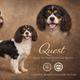 Quest