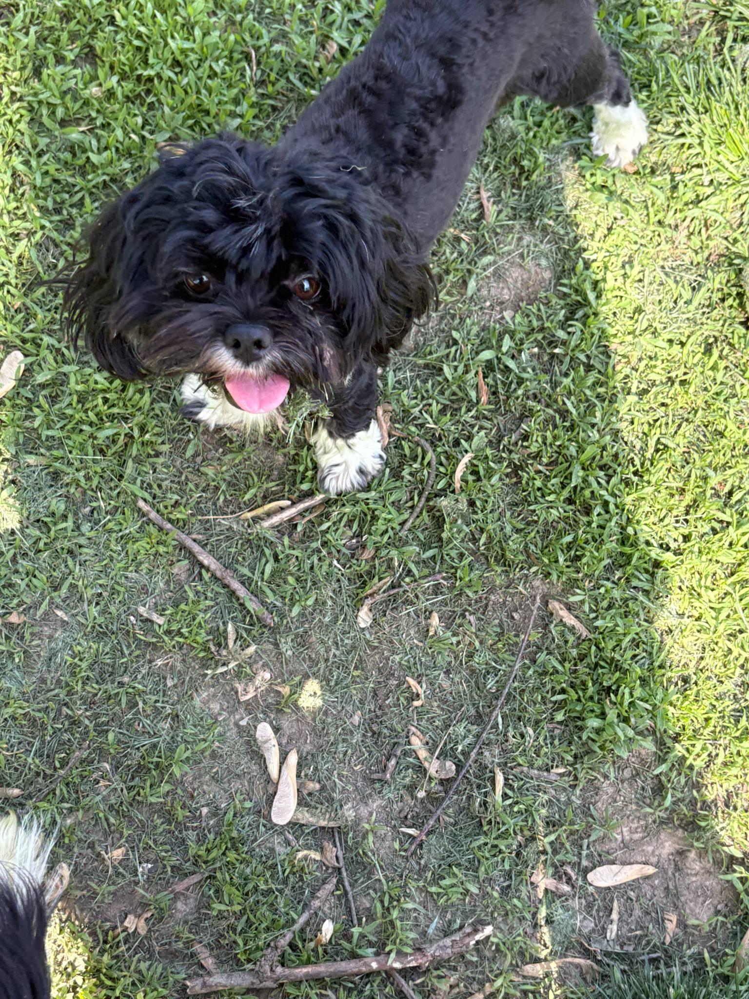 Cammie