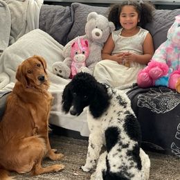 Goldendoodles from A1Doodles