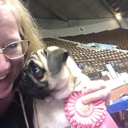 Pug Puppies from Pickwick Pugs