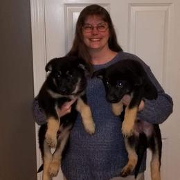 German Shepherd Puppies from Levesques German Shepherds