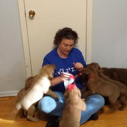 Chesapeake Bay Retriever Puppies from North Flow Chesapeakes