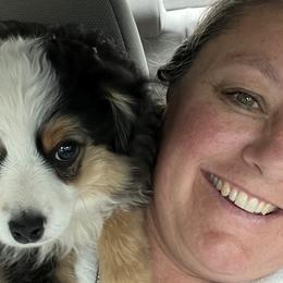 Australian Shepherds, Miniature Australian Shepherds, and Toy Australian Shepherds from Bit O' Bliss Aussies LLC