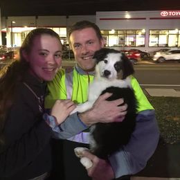 Australian Shepherd Puppies from Tuscany Acres Aussies
