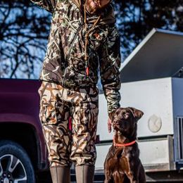Labrador Retrievers from Gray Light Kennels