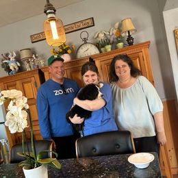 Bernese Mountain Dog Puppies from Lonesome Pine Farm