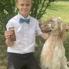 English Setters from SpottedSetter English Setters