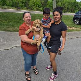 Max - Cream male Goldendoodle puppy in Knoxville, Tennessee from Kokoh Doodles