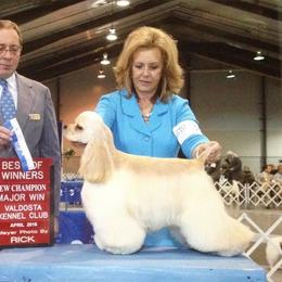 Gresha - Cocker Spaniel