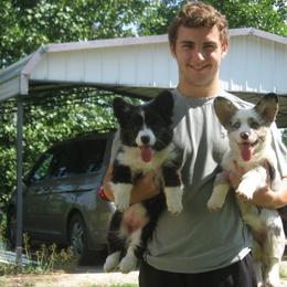 Cardigan Welsh Corgi Puppies from Woodrose Farm