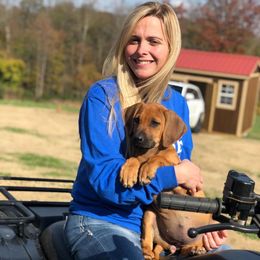 Rhodesian Ridgeback and Weimaraner Puppies from PC Farms