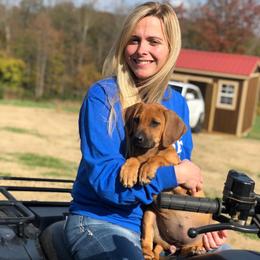 Rhodesian Ridgeback and Weimaraner Puppies from PC Farms