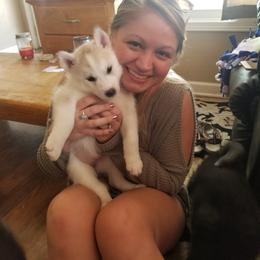 Siberian Husky Puppies from Tricia's Siberians