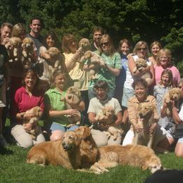 Golden Retriever Puppies from Gaylan's Golden Retrievers