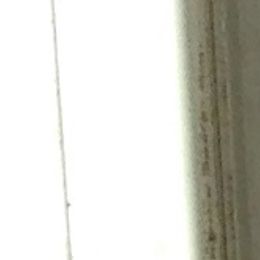 German Shepherd Puppies from Darkwing GSD