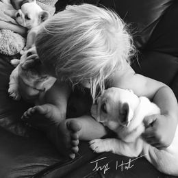 French Bulldog Puppies from Top Hat Ranch