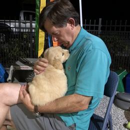 Golden Retriever Puppies from Gaylan's Golden Retrievers