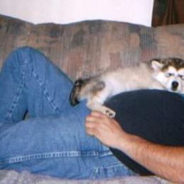 Alaskan Malamute Puppies from Kaylatee Alaskan Malamutes