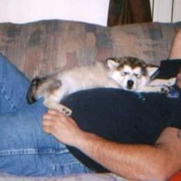 Alaskan Malamute Puppies from Kaylatee Alaskan Malamutes