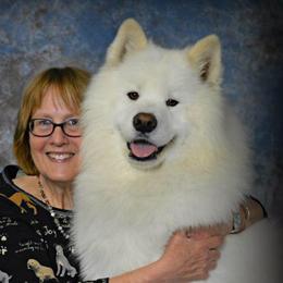 Kato - Samoyed