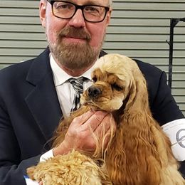 Berta - Cocker Spaniel
