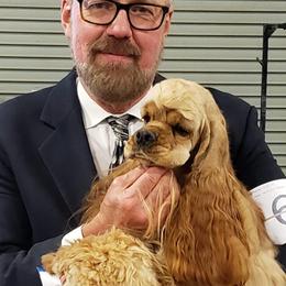Berta - Cocker Spaniel
