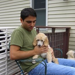 Puppies from Parris Hill Standard Poodles