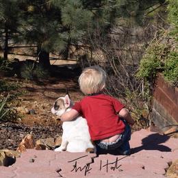 French Bulldog Puppies from Top Hat Ranch