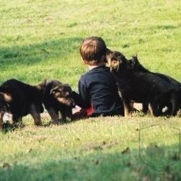 German Shepherd Puppies from Select Shepherds