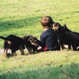 German Shepherd Puppies from Select Shepherds