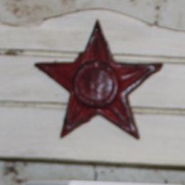 Bernedoodle and Goldendoodle Puppies from O'Dells Doodles