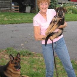 German Shepherd All Grown Up from Von Mathausen German Shepherds