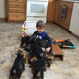 Miniature Schnauzer Puppies from ToMar Miniature Schnauzers 