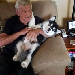 Alaskan Malamute Puppies from Kaylatee Alaskan Malamutes