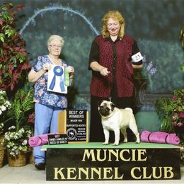 Pug All Grown Up from Snuggle Pugs