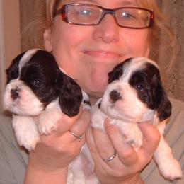 Cocker Spaniel Puppies from Dune Cockers