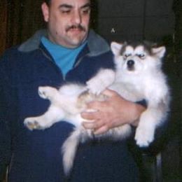 Alaskan Malamute Puppies from Kaylatee Alaskan Malamutes