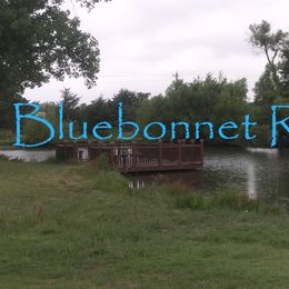 Australian Shepherd Facilities from Bluebonnetridge Aussies