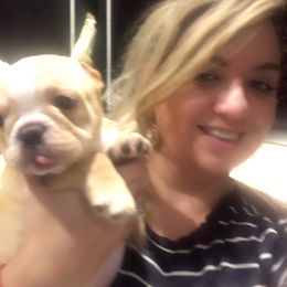 French Bulldog Puppies from Bouledogue Royal